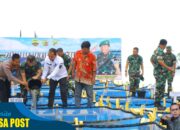 Pangdam I/BB Tabur 1000 Benih Ikan di Kerambah Laut Rupat Utara