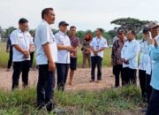 Kemenkes RI Gelontorkan DAK 63 Miliar Bangun RSUD di RJU, Sekda Mesuji Saksikan Penandatangan Hibah Tanah