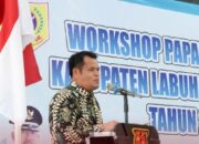 Wakil Bupati  H. Ahmad Padli Tanjung, S.Ag Membuka Kegiatan Workshop Papan Data TP PKK Kab.Labuhanbatu Selatan Tahun 2023