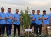 Kebun Meranti Paham PTPN IV Regional II Gelar Acara Tanam Perdana Tahun 2024