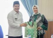 Wakil Bupati Labusel Menerima Kunjungan Silaturahmi Direktur Keuangan dan TI Bank Sumut  