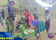 Satgas TNI Safari Honai di Kampung Wuloni: Borong Hasil Tani, Genggam Hati Rakyat