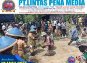 Satgas TMMD ke-126 Kodim 1810/Tambrauw dan Dinas Pertanian Tambrauw Gelar Penyuluhan dan Penanaman Padi di Distrik Yembun