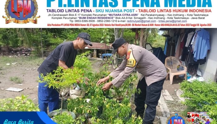 Dukung Ketahanan Pangan, Bhabinkamtibmas Polsek Rangsang Barat Tinjau Perkebunan Cabai Warga