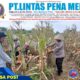 Polsek Rangsang Dukung Ketahanan Pangan Nasional, Panen 1,3 Ton Jagung di Teluksamak