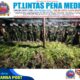 Langkah Tegas Demi Masa Depan Papua: 5.000 Batang Ganja Berhasil Diungkap Koops TNI Habema