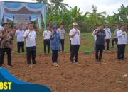 Perdana ” Launching Kemitraan Budidaya Singkong” Melalui Program CSV di Kabupaten Mesuji.