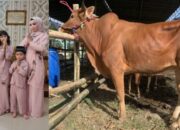 Berqurban Tingkatkan Kepedulian Hati Ini Yang Dilakukan Andika Saindra Untuk Kampung Kelahirannya