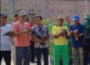 Pemerintah Desa Sukarjo Mesem Melaksanakan Pembagian Bantuan Ketahanan Pangan Berupa Bibit Ayam Kampung, 2023.