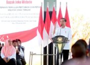 Presiden Jokowi Dorong Penambahan Subsidi Pupuk untuk Tingkatkan Produksi Petani