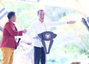 Presiden Jokowi Tekankan Pentingnya Pengembangan Program Pendidikan di IKN