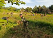 Satgas Pamtas RI-Malaysia Yonarmed 16/TK Pos Bantan Bersama Masyarakat Bersihkan Rumput di Jalan