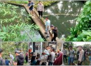Warga Kampung Singarani   Digegerkan Adanya Temuan Mayat Lelaki Mengambang di Kolam Milik Warga