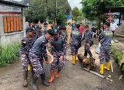 Gerak Cepat TNI AL Bantu Evakuasi Rumah Warga Tertimpa Pohon Tumbang di Minahasa Utara