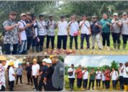 SEVP Operasional 1 Dan ll  PTPN lV Regional ll Kunjungi 6 Unit Kebun