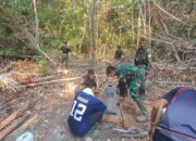 Menerjang Rimbunnya Rawa dan Hutan Demi Tuntaskan Penambahan Pilar Patok Perbatasan RI-PNG