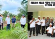 Region Head PTPN IV Regional 2 Kunjungi Kebun Adolina