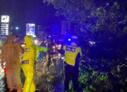 Respon Cepat Polres Tulang Bawang Evakuasi Pohon Besar Tumbang di Jalinsum, AKBP James: Wujudkan Beyond Trust