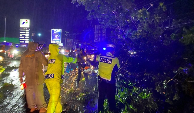 Respon Cepat Polres Tulang Bawang Evakuasi Pohon Besar Tumbang di Jalinsum, AKBP James: Wujudkan Beyond Trust