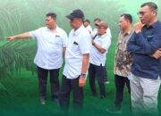 Berkunjung ke Kebun Air Batu, Direktur Operasional PTPN IV Beri Arahan tentang PICA