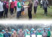 Kapasitas Produksi Tinggi, PTPN IV Regional II Beri Hadiah Pemanen Kebun Sei Kopas