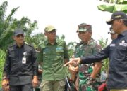 65 Ribu Hektare Lahan Rawa di OKI  Dioptimasi