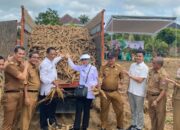 Pemkab Mesuji bersama PT Great Giant Pinneaple Panen Perdana CSV Komoditas Singkong