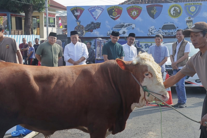 Idul Adha 1445 H, Polres Ciamis Berkurban Sapi dan Kambing