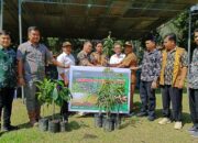 Peringati Hari Lingkungan Hidup  Sedunia PTPN lV Regional 1 Kebun Huta Padang Laksanakan Program Peduli Lingkungan Dengan Penanaman dan Membagikan Bibit