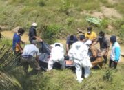 Cari Kayu Bakar, Warga Kepenuhan Hulu Temukan Mayat Nenek di Dalam Parit