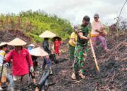 Tingkatkan Swasembada Pangan, Satgas Pamtas Yonzipur 5/ABW Bantu Warga Menanam Padi