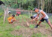 Satgas Yonzipur 5/ABW Bersama Remaja Rumah Singgah Tingkatkan Kualitas Pangan