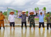 Kementan Target Cetak 125 Ribu Hektare Sawah Baru di OKI  , Topang Swasembada Pangan Prabowo