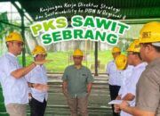 Kunjungan Kerja Direktur Strategi dan Sustainability ke PTPN IV Regional II