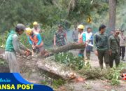 Cegah Bencana! TNI dan Perhutani Kompak Amankan Jalan Trenggalek-Bendungan