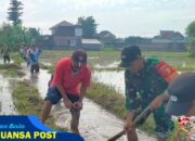 Sinergi TNI-Polri dan Warga: Gotong Royong Pulihkan Irigasi di Trenggalek