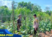 Bhabinkamtibmas Polsek Mesuji Timur Sambang ke Kebun Warga Desa Wonosari