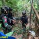 Penemuan Sisik Trenggiling di Hutan Lindung, Bukti Perdagangan Ilegal Satwa