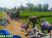 Gotong Royong Babinsa dan Warga Bangun Talud, Wujudkan Impian Sawah Subur