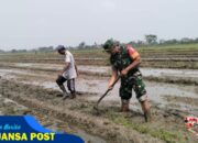 Tingkatkan Produktivitas Pertanian, Koptu Gunawan Dampingi Petani Siapkan Lahan