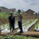 Dukung Asta Cita Presiden RI, Polsek Cikoneng Ajak Warga Buat Pekarangan Rumah Jadi Produktif