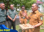 Wakil Bupati Bengkalis Tinjau Demplot Peternakan Ayam Petelur Koramil 01 Bengkalis