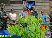 Menjaga Kelestarian Lingkungan, Satgas Yonif 131/BRS Bagikan Bibit Pohon Pinang kepada Masyarakat di Perbatasan Papua