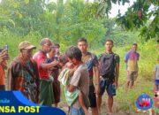 Pos Haslot Satgas Yonif 741/GN Berhasil Temukan Anak yang Hilang di Hutan Perbatasan Indonesia – Timor Leste