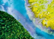 China’s Green Transformation: A Model for the World