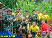 Wujudkan Kemandirian Pangan, Yonif 320 Kostrad Sukses Gelar Panen Raya