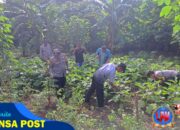 Panen Terong di Polsek Wilangan, Warga Sekitar Kebagian