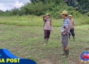 Kapolsek Meranti Turun Langsung Cek Lokasi Tanaman Jagung Hibrida