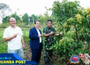 Tanam Harapan, Panen Ketahanan : Sinergi TNI-IPB Untuk Indonesia Berdaulat Pangan
