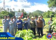 Kepala Bakamla RI Panen Kacang Tanah di Karangasem Bali